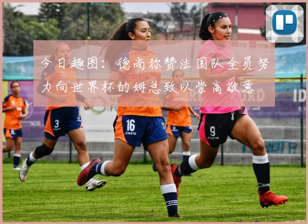 今日趣图：德尚称赞法国队全员努力向世界杯的姆总致以崇高敬意